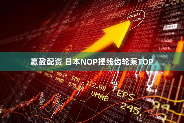 赢盈配资 日本NOP摆线齿轮泵TOP